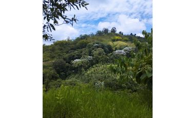 Espectacular finca en la Florida, Risaralda.