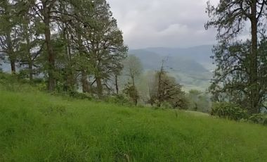 Espectacular finca en la Florida, Risaralda.