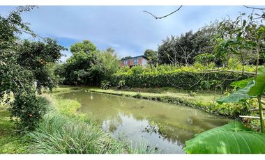 Venta Finca en Pereira Vía Alcalá Condominio Llano Verde