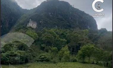 VENTA DE CASA FINCA CON GRAN POTENCIAL EN EL RETIRO ANTIOQUIA