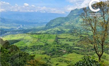 VENTA DE CASA FINCA CON GRAN POTENCIAL EN EL RETIRO ANTIOQUIA