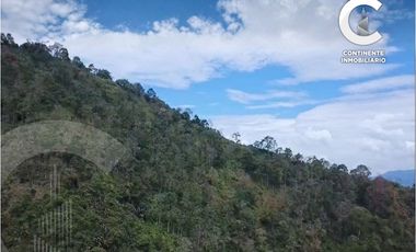 VENTA DE CASA FINCA CON GRAN POTENCIAL EN EL RETIRO ANTIOQUIA