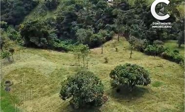 VENTA DE CASA FINCA CON GRAN POTENCIAL EN EL RETIRO ANTIOQUIA