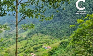 VENTA DE CASA FINCA CON GRAN POTENCIAL EN EL RETIRO ANTIOQUIA