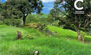 VENTA DE CASA FINCA CON GRAN POTENCIAL EN EL RETIRO ANTIOQUIA