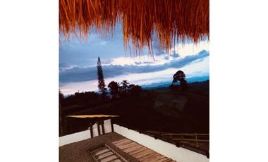 HERMOSA FINCA EN LA PALMILLA