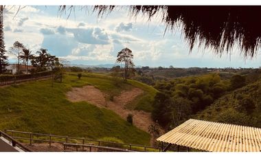 HERMOSA FINCA EN LA PALMILLA