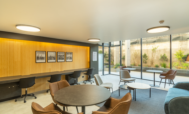 David Arellano 1954 [3490-4]