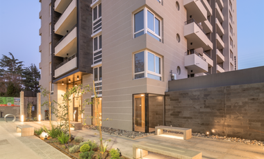 David Arellano 1954 [3490-4]