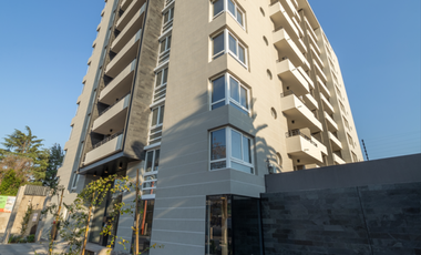 David Arellano 1954 [3490-4]