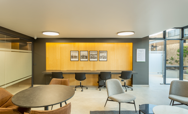 David Arellano 1954 [3490-4]