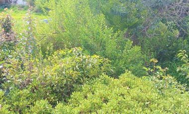 Casa en Venta en Rojas Magallanes con E.E.U.U.