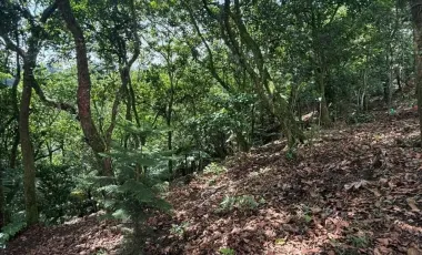 Terreno en Venta en Ciudad de Cuetzalan, Cuetzalán del Progreso, Puebla