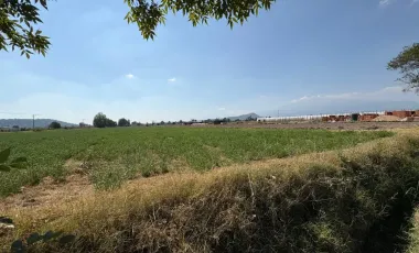 Terreno En Venta A Metros Del Libramiento De San Martín Texmelucan, Ideal Para Desarrollo