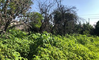 Terreno para proyecto habitacional - (3)