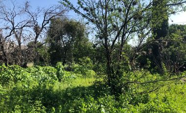 Terreno para proyecto habitacional - (3)