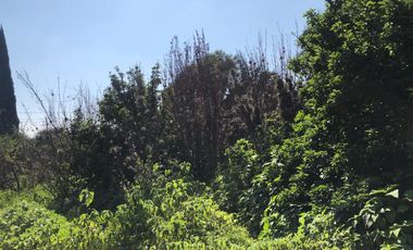 Terreno para proyecto habitacional - (3)