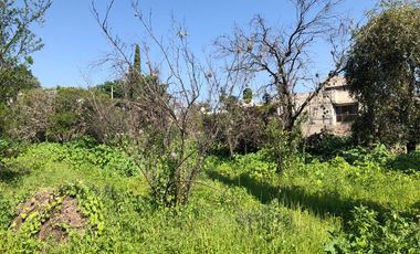 Terreno para proyecto habitacional - (3)