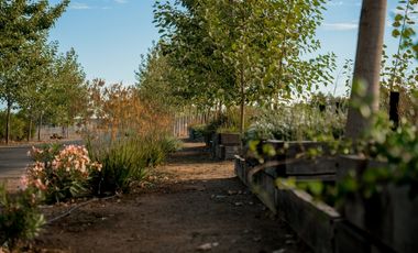 Sitio, Loteo Junquillar, Talca