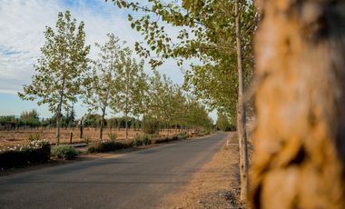 Sitio, Loteo Junquillar, Talca