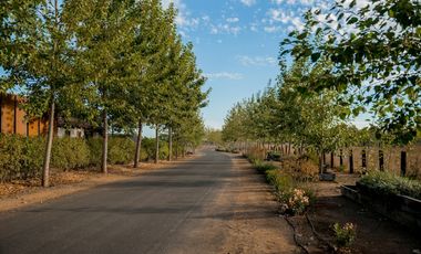 Sitio, Loteo Junquillar, Talca
