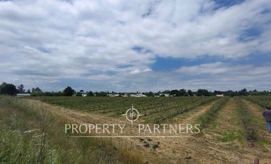 Oportunidad de Loteo Habitacional