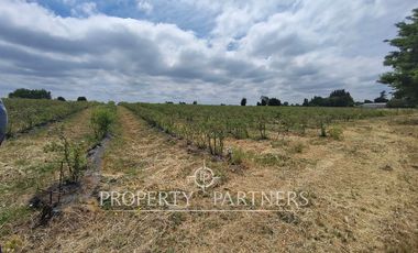 Oportunidad de Loteo Habitacional