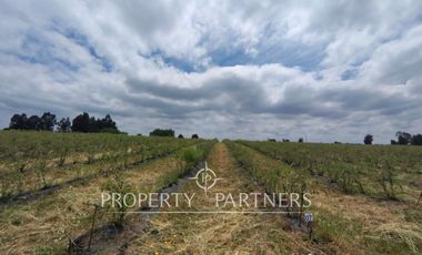 Oportunidad de Loteo Habitacional