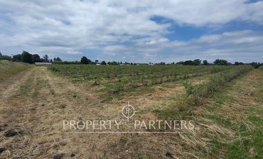 Oportunidad de Loteo Habitacional