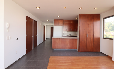 DEPARTAMENTO EN RENTA LA PALOMA, PENTHOUSE.