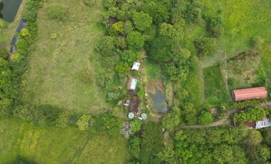 ARRIENDO de FINCAS en RIVERA