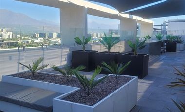 Departamento en Arriendo en Francisco de Paula 2024