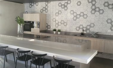 Departamento en Arriendo en Francisco de Paula 2024