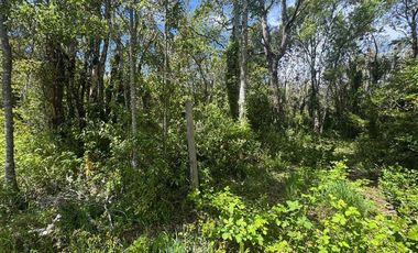 Parcela en venta Villarrica Naturaleza y Confort