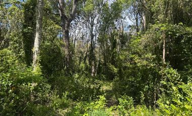 Parcela en venta Villarrica Naturaleza y Confort