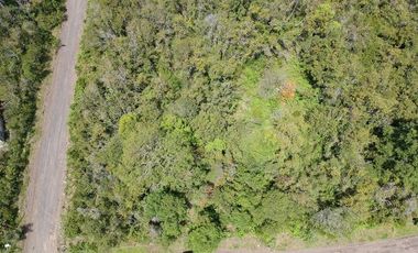 Parcela en venta Villarrica Naturaleza y Confort