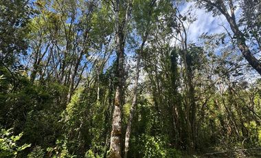 Parcela en venta Villarrica Naturaleza y Confort