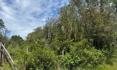 Parcela en venta Villarrica Naturaleza y Confort