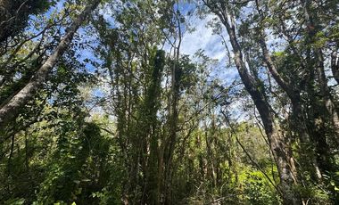 Parcela en venta Villarrica Naturaleza y Confort