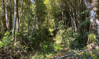 PUERTO VARAS Y ENSENADA