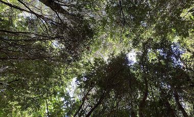 PUERTO VARAS Y ENSENADA