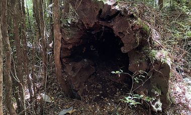 PUERTO VARAS Y ENSENADA