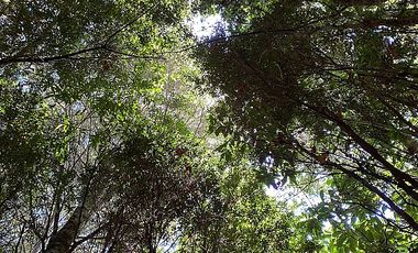 PUERTO VARAS Y ENSENADA