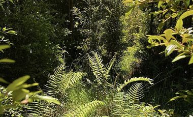 PUERTO VARAS Y ENSENADA