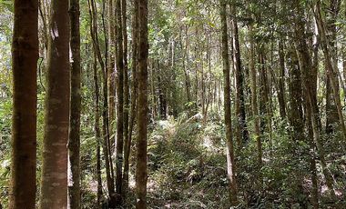 PUERTO VARAS Y ENSENADA