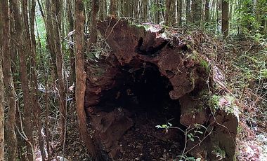 PUERTO VARAS Y ENSENADA