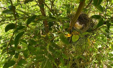 PUERTO VARAS Y ENSENADA