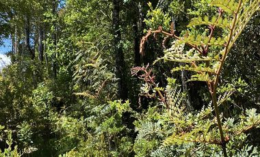 PUERTO VARAS Y ENSENADA