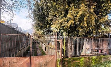 VALDIVIA, SECTOR COLLICO