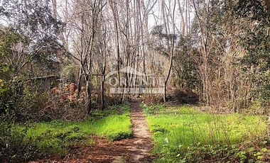 VALDIVIA, SECTOR COLLICO